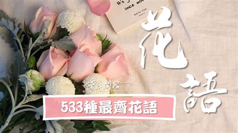 心願椒草花語|花語實用彙整｜533種｜特別、愛情、悲傷、憂鬱、勇 